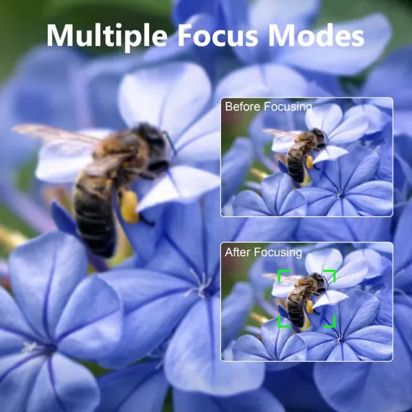 Lumixy Cameras For Beginners AU1