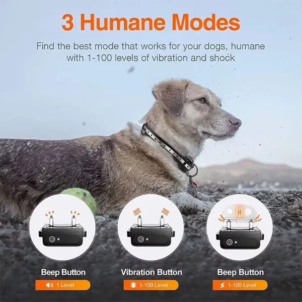 K9Mentor Dog Training Collars AU1