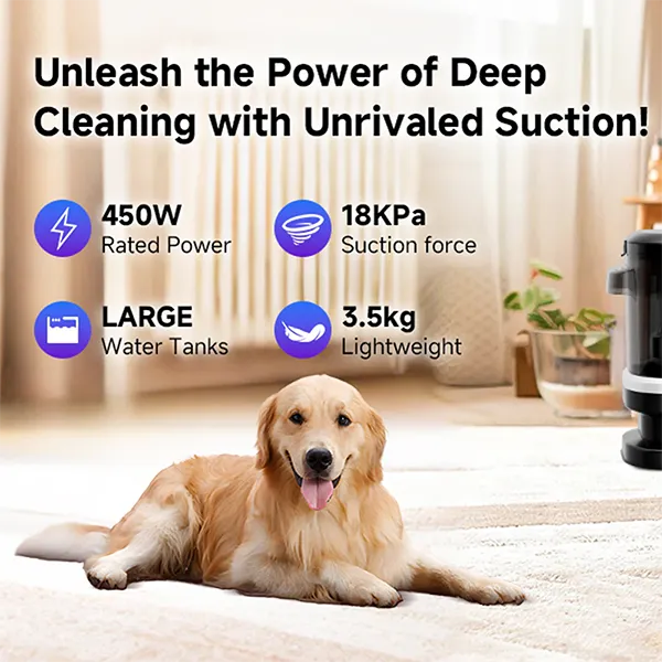 Cleanora Portable Carpet Cleaner AU03