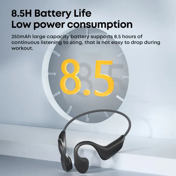 MinoMio Z2 Waterproof Swimming Headphones AU1