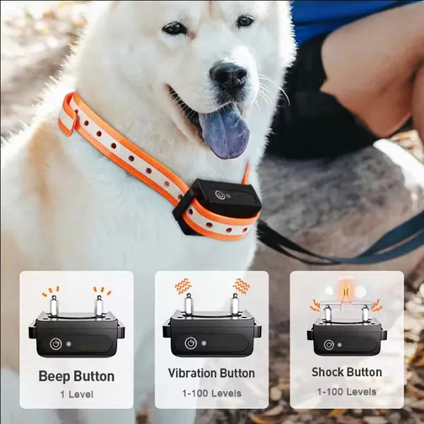 K9Mentor Dog Training Collars AU1